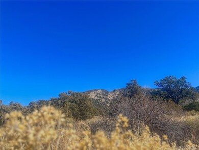 121 Cedar Ridge Rd, Mosca, CO 81146 - photo 6