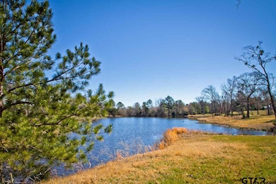 17981 Fm 850, Arp, TX 75750 - photo 3