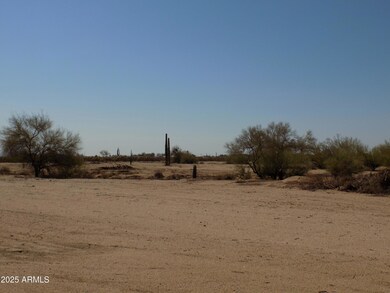 1.25 E Tbd-Cactus Forest & N Reed Rd unit 3, Florence, AZ 85132 - photo 4