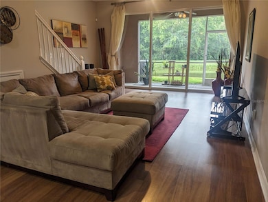 10005 Tranquility Way, Tampa, FL 33625 - photo 6