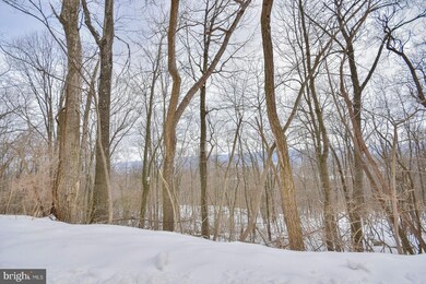 2965 Hampshire Grade Rd, Hedgesville, WV 25427 - photo 7