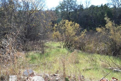 000 Holders Chapel Rd, Cool, TX 76088 - photo 5