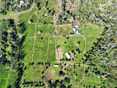 78-1337 Bishop Rd, Holualoa, HI 96725 - photo 2