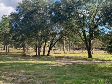 2504 County Road 326 Lot 23, Alvin, TX 77511 - photo 3