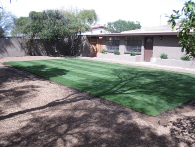 Backyard 1