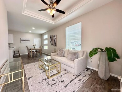 Living area featuring a raised ceiling, wood finished floors, baseboards, and ceiling fan