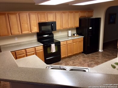 10919 Palomino Bend, San Antonio, TX 78254 - photo 4