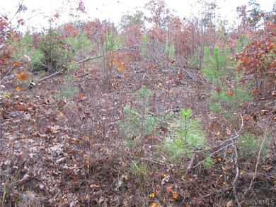 00 Dry Bridge Rd, Caroline, VA 22546 - photo 2