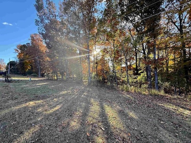 2620 Tomlin Rd, Somerville, TN 38068 - photo 3