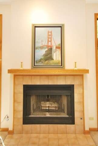 710 Young Ave unit 1, Batavia, IL 60510 - photo 7