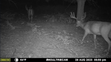 V/L 118A E Townline Rd, Free Soil, MI 49411 - photo 2