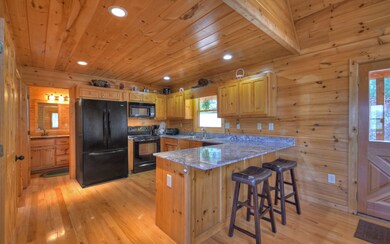 210 Evening Shadows Rd, Morganton, GA 30560 - photo 5