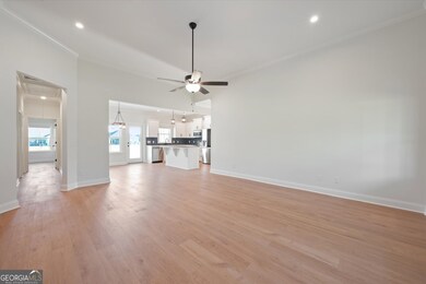 47 Ennis Rd, Pembroke, GA 31321 - photo 6