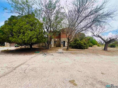 802 E Greene St, Carlsbad, NM 88220 - photo 7