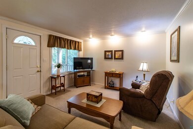 Carpeted living room with crown molding