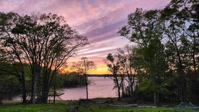 17930 Eastside Rd, Troup, TX 75789 - photo 3