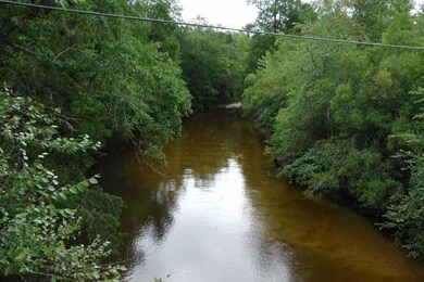 Shoal River - far end at curve where riv