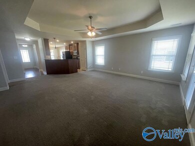 711 River Landing Blvd SW, Madison, AL 35756 - photo 2