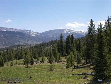 0 Towering Pines unit 183829, Big Sky, MT 59716 - photo 6