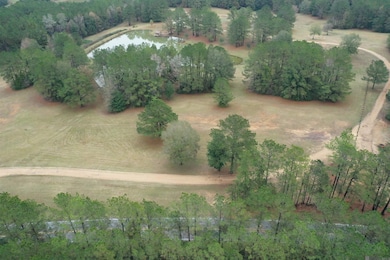 Lot 4-B-1 Louisiana 421, Saint Francisvle, LA 70775 - photo 4