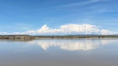IMG_0415 (1)