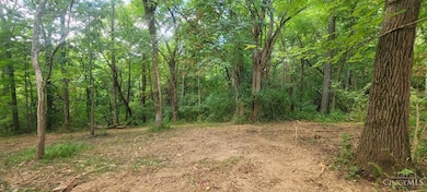 ac Laurel-Point Isabel Rd, Moscow, OH 45153 - photo 4