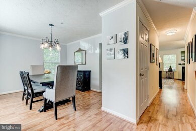 1427 Falcon Nest Ct, Arnold, MD 21012 - photo 4