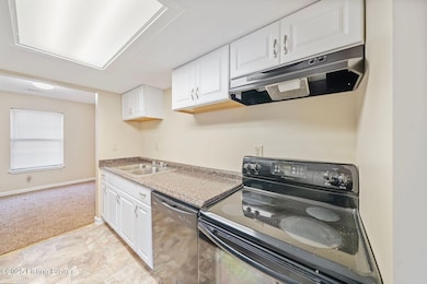 4411 La Salle Ave, Louisville, KY 40215 - photo 6