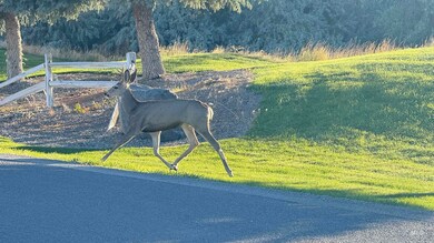 4055 N 3417 E, Kimberly, ID 83341 - photo 6
