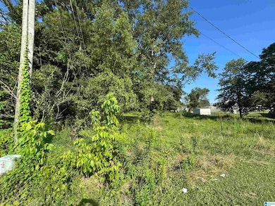 8024 Warrior-Kimberly Rd unit 4B, Kimberly, AL 35091 - photo 3