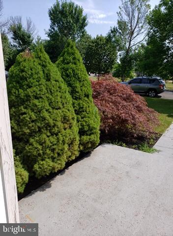 44 Saddle Way, Chesterfield, NJ 08515 - photo 4