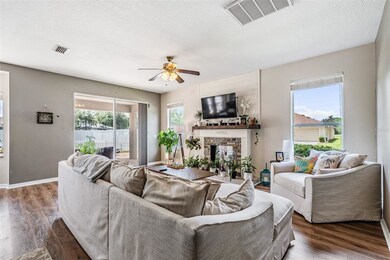 10215 Coldwater Loop, Land O Lakes, FL 34638 - photo 5