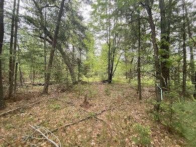 0 Stitt Ln unit 201835231, Mio, MI 48647 - photo 5