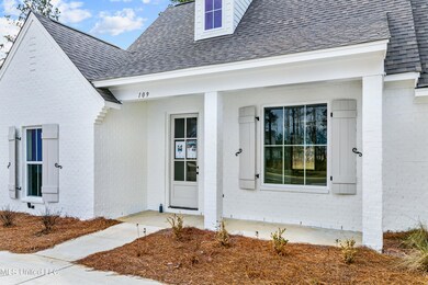 109 Herons Bay Cir, Madison, MS 39110 - photo 5
