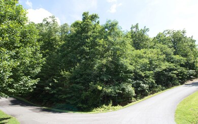 Additional View