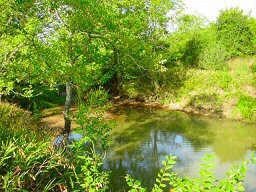 29163 Smalley Rd, Hockley, TX 77447 - photo 4