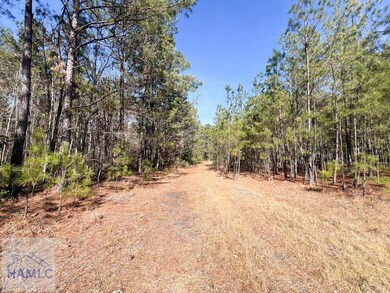 1014 Iler Rd, Pembroke, GA 31321 - photo 4