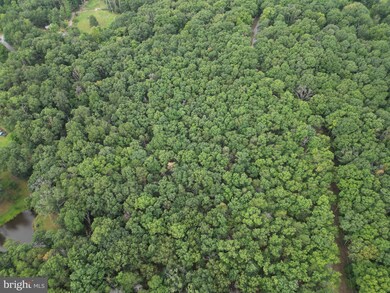 0 Pinewood Ln, Berkeley Springs, WV 25411 - photo 2