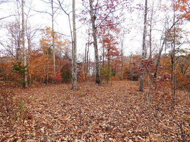 Lot 24 Restful Run Rd, Nancy, KY 42544 - photo 5