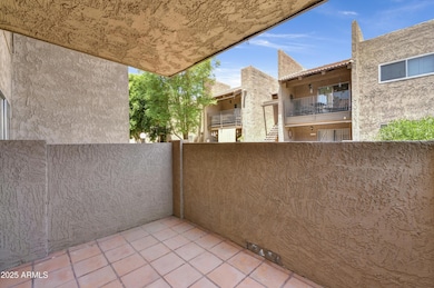 5525 E Thomas Rd unit N1, Phoenix, AZ 85018 - photo 7