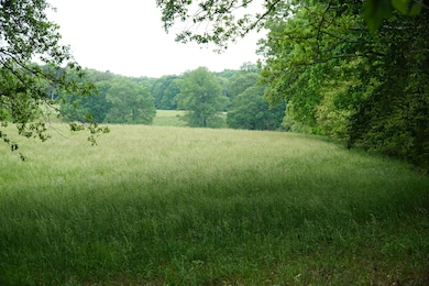 339 Mcnutt Rd, Bear Creek, AL 35543 - photo 2