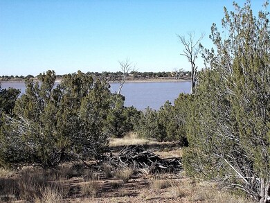 White Mountain Lake