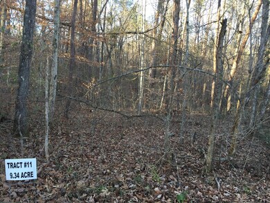 473 Burnside Hideaway Dr, Burnside, KY 42519 - photo 5