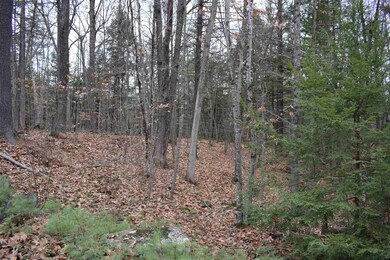 00 Blake Rd unit 7, Moultonborough, NH 03254 - photo 2