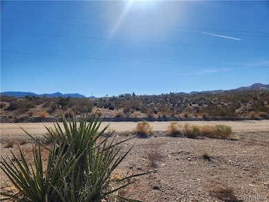 1045 Echo Dr, Meadview, AZ 86444 - photo 6