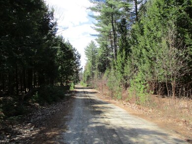 Drewry Lane 23 acres
