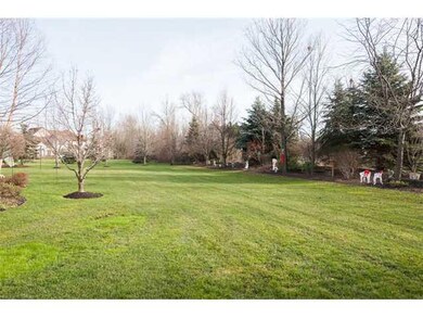 Yard/Garden