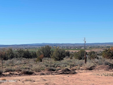 1791 Mountain View Dr, Snowflake, AZ 85937 - photo 2