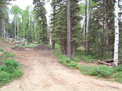 1460 W View Dr unit ZVME A-11, Duck Creek Village, UT 84762 - photo 5