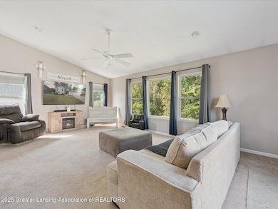 06-380-Spicetree-Ln-Mason-MI-48854-Windo